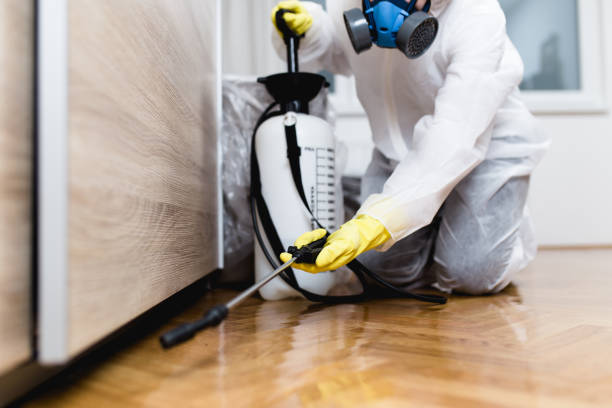 Best Pest Control Near Me  in Goldsboro, NC