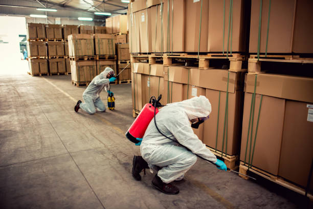 Best Residential Pest Control  in Goldsboro, NC