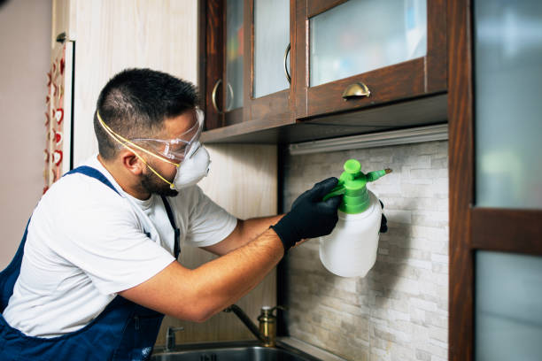 Best Commercial Pest Control Services  in Goldsboro, NC