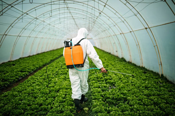 Reliable Goldsboro, NC Pest Control Solutions