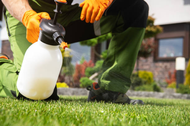 Best Emergency Pest Control  in Goldsboro, NC