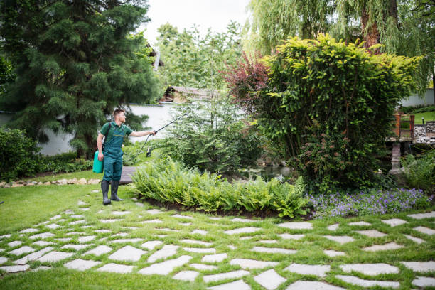Best Mosquito Control Services  in Goldsboro, NC