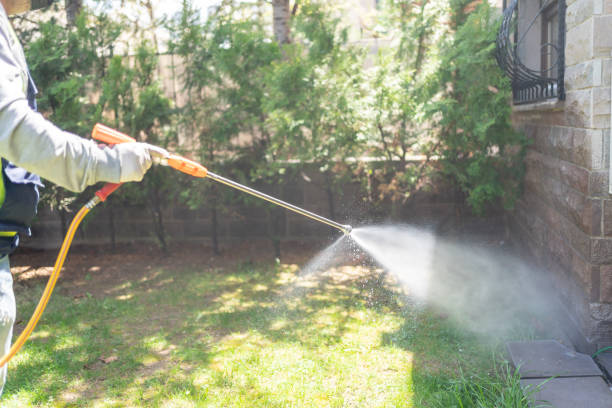 Best Best Pest Control Companies  in Goldsboro, NC