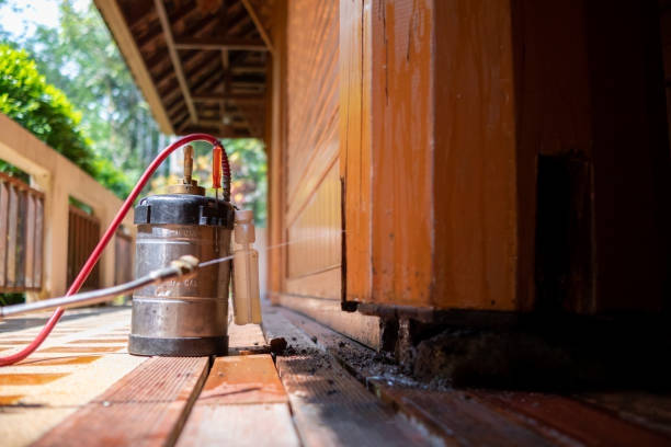 Best Affordable Pest Control Services  in Goldsboro, NC