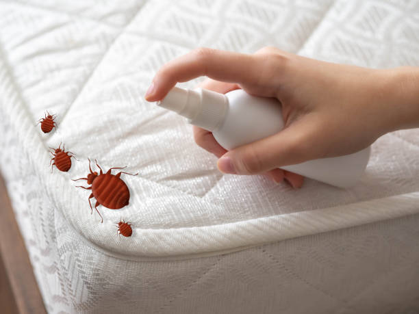 Best Exterminator Services  in Goldsboro, NC