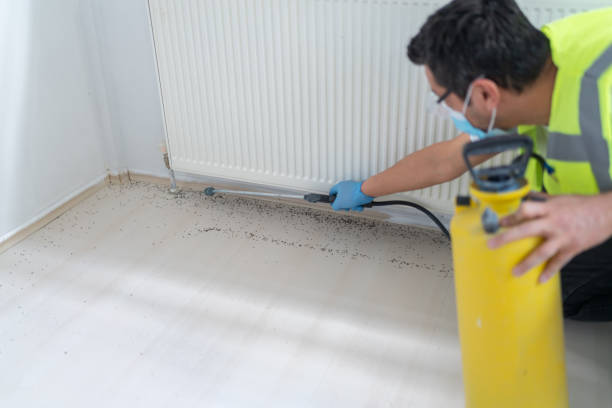 Best Local Pest Control Services  in Goldsboro, NC