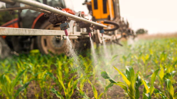 Best Mosquito Control Services  in Goldsboro, NC